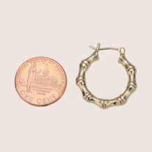 Load image into Gallery viewer, Bamboo Hoops